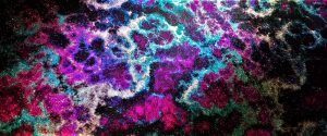 Fruitpunch Nebula Sparkle Drum Wrap